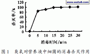 臭氧对无土栽培营养液的消毒作用研究