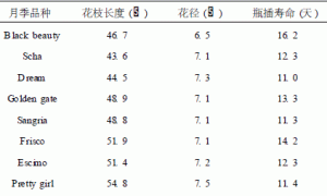 我国切花月季日光温室无土栽培的研究