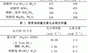 无公害苦瓜无土栽培技术