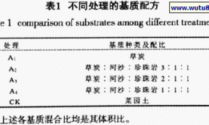 无土栽培基质对辣椒产量及品质的影响