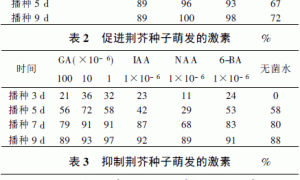 荆芥种子萌发及无土栽培研究