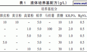 草菇菌种液体培养及出菇试验研究