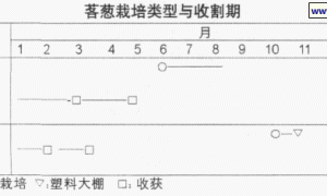 珍贵山野菜-茖葱人工栽培技术
