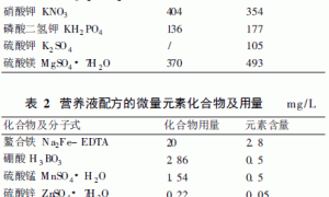 无公害节瓜无土栽培技术