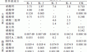 小苍兰无土栽培营养条件的初步研究