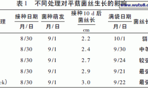 金针菇废料添加沼液栽培平菇试验