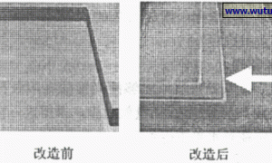 无土栽培中根腐烂的形成因素及预防措施