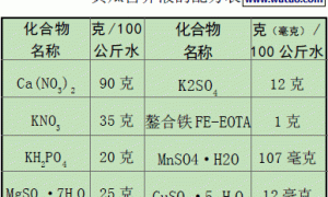 早熟黄瓜的无土栽培技术
