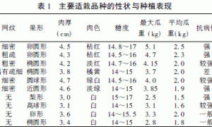 厚皮甜瓜大棚无土栽培技术研究