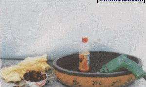 介绍一种简易的无土栽培盆景的模式