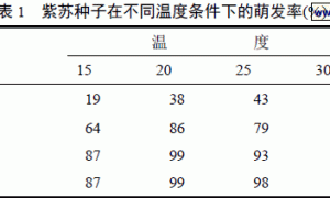 紫苏种子的萌发和无土栽培研究初探