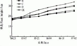 万寿菊无土栽培基质初探