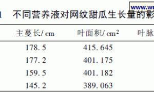 无土栽培网纹甜瓜营养液配方的筛选