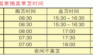 承德市日光温室荷兰乳瓜高产栽培技术