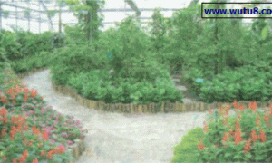 观光农业与观光栽培的几大影响因素