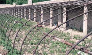 宁夏日光温室建设结构初探