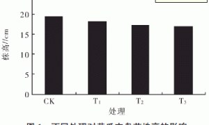 日间补照UV-B辐射对温室黄瓜穴盘幼苗生长发育的影响