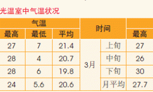 草莓套种小西瓜栽培模式和经济效益探讨