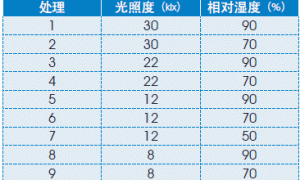 不同光照度和湿度对擎天凤梨幼苗生长的影响