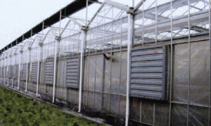 浅析温室使用中的常见问题与日常维护