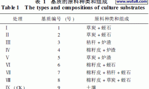 西芹高效低成本无土栽培基质筛选研究