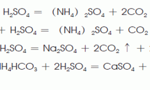 FCP系列自压平衡式CO2发生器的结构及其应用