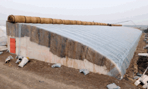 新型墙体材料日光温室的建造与使用