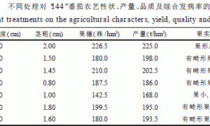 无土栽培营养液对番茄产量和品质的影响