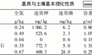 基质对无土栽培大豆幼苗生长的影响