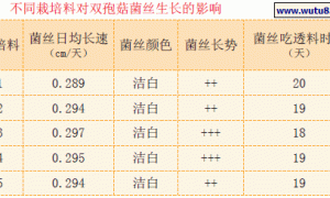 不同配方栽培料栽培双孢菇对产量的影响
