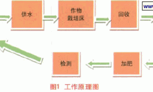 水资源高效利用工程技术在设施栽培上的应用