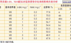 草莓花药培养中外源激素浓度配比选择试验