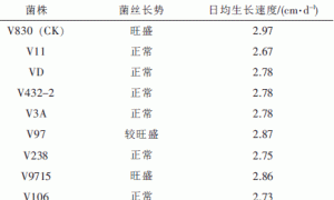 10个草菇菌株比较研究
