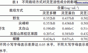 不同栽培方式对灵芝活性成分的影响