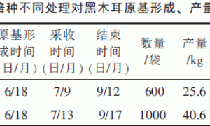 黑木耳冻菌栽培试验