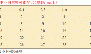 半夏组培苗诱导生根试验