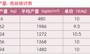 红提葡萄南方避雨栽培试验