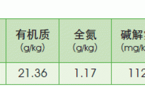 钾肥对草莓品质的影响研究初报