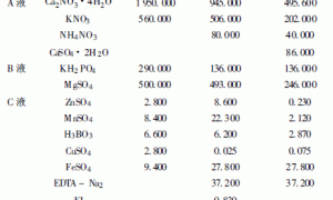 常春藤无土栽培试验