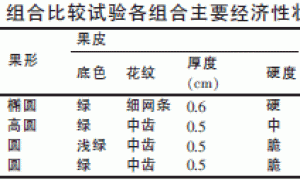 黄瓤小西瓜新品种甜妞的选育