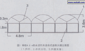 温岭水泥竹木混合式连栋大棚葡萄栽培技术