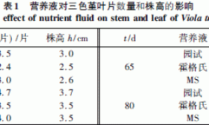 三色堇无土栽培技术