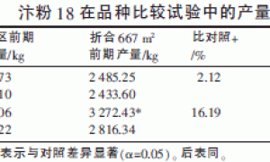 高产优质番茄新品种汴粉18的选育