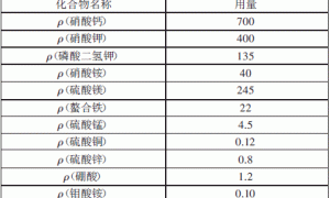 菊花无土栽培技术探讨