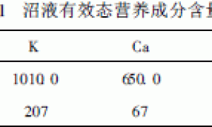 沼液在番茄无土栽培中的应用