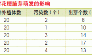 蝴蝶兰组织培养的初步研究