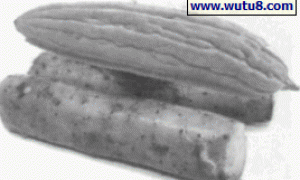 淮山药套种苦瓜高效栽培技术