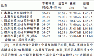 木薯套种西瓜甜瓜栽培模式研究