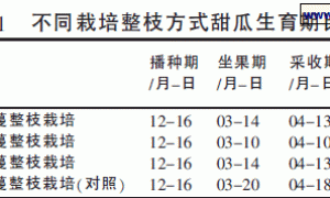 厚皮甜瓜冬春茬栽培整枝方式研究