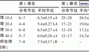 短日处理诱导西双版纳黄瓜开花试验